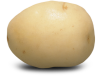 White Harmony Potato