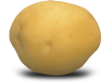 Yellow Satina Potato
